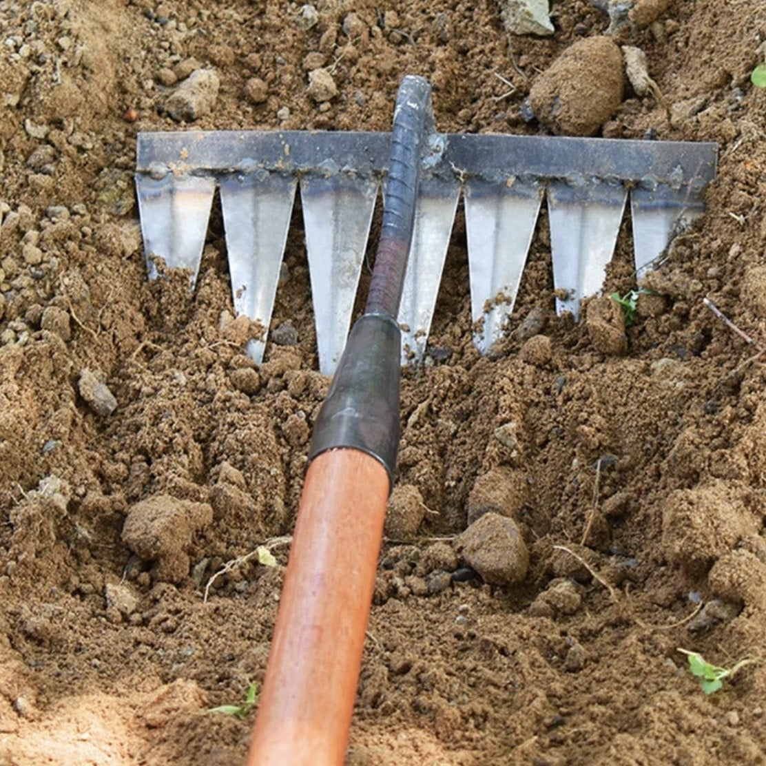 RootRipper® Iron Gardening Hoe Head